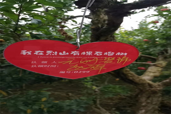 1697943964490148.jpg 1697943964490148.jpg